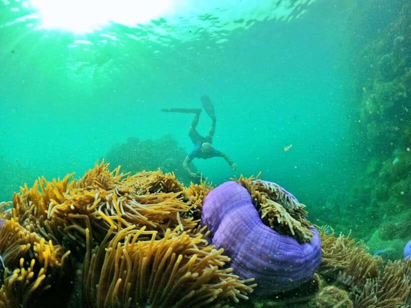 South Phu Quoc: Pro Snorkeling Tour by Speedboat - Guides who keep safety practical