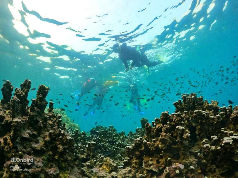 South Phu Quoc: Pro Snorkeling Tour by Speedboat - A quieter island finish with fruit and juice