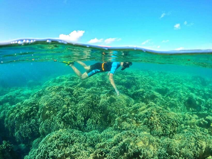 South Phu Quoc: Pro Snorkeling Tour by Speedboat - Health, age, and ability limits
