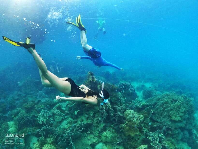 South Phu Quoc: Pro Snorkeling Tour by Speedboat - Pickup, the boat, and the six-hour rhythm