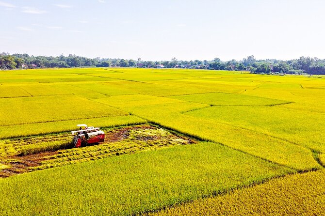 Standard 1 Day Cu Chi Tunnels & Mekong Delta - Cu Chi Tunnels, four hours beneath the countryside