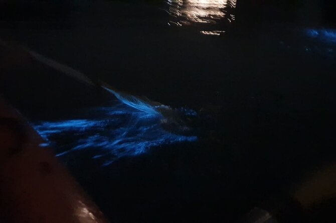 Sunset & Bioluminescent Plankton Kayaking Lan Ha bay - Why the plankton is the main event