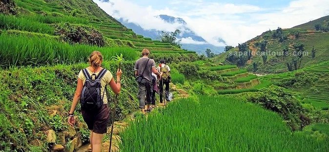 The Best Sapa Tour 2D1N At 3 Star Hotel by sleeping BUS TRANSFER - Ta Van and the Giay family stay