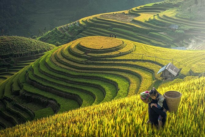 The Best Sapa Tour 2D1N At 3 Star Hotel by sleeping BUS TRANSFER - The sleeping bus from Hanoi to Sapa