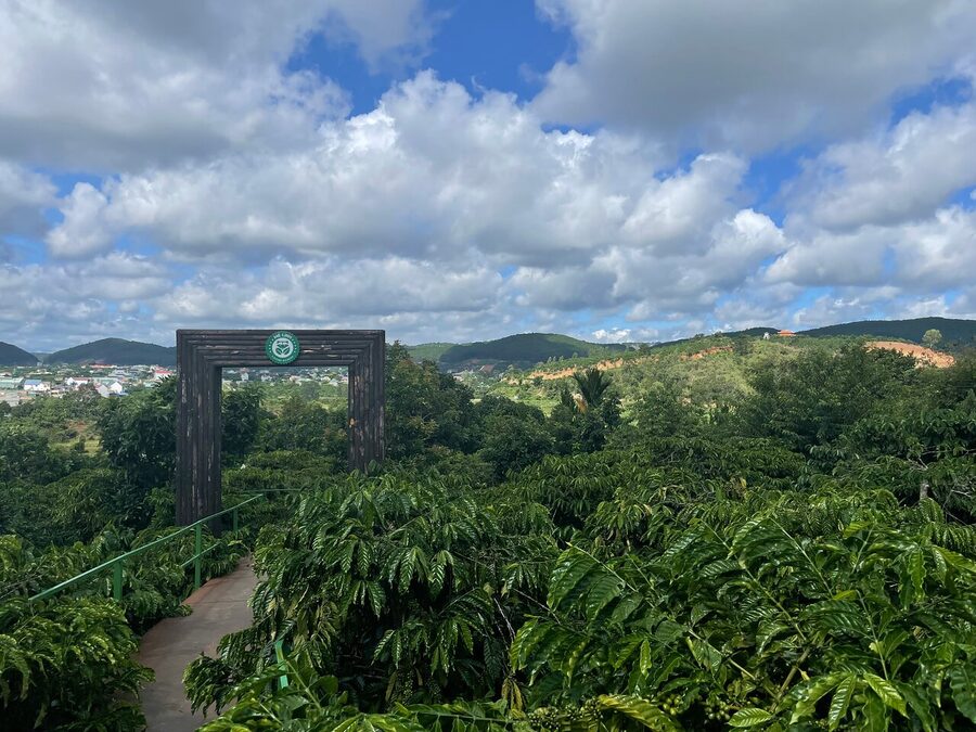 Three waterfalls in Dalat with Private Tour - Me Linh Coffee Garden: A Strong Local Pause