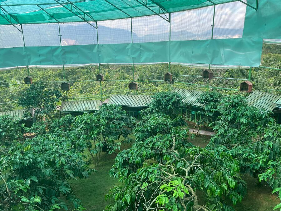 Three waterfalls in Dalat with Private Tour - What the Guides Add to the Experience