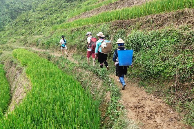 Trek Adventure in Ta Van Village, Lao Chai - Returning from Ta Van to Sapa