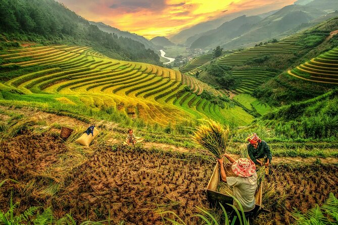 Trek Adventure in Ta Van Village, Lao Chai - Weather, walking ability, and what to pack