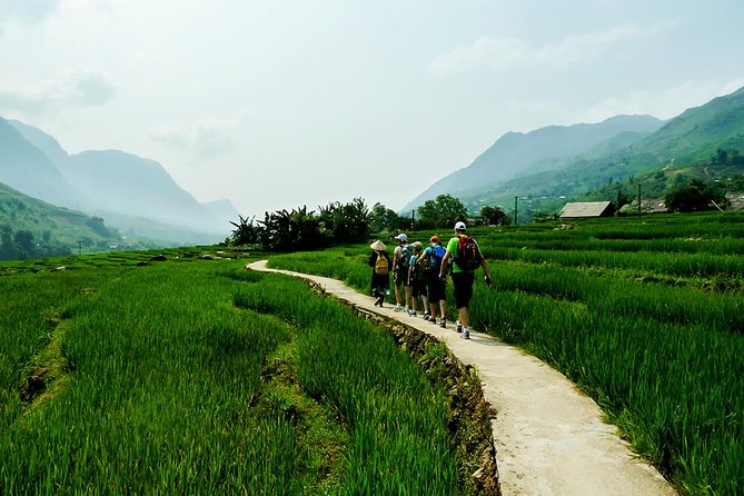 Trekking Through Rice Terraced Fields - 1Day - Why this Sapa trek works so well