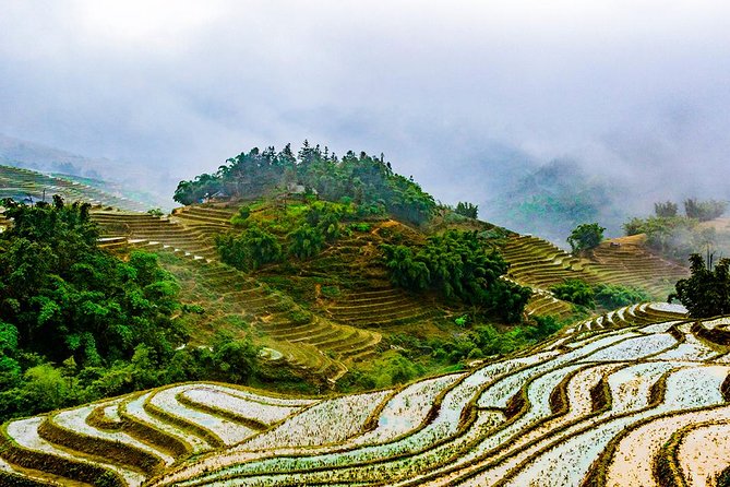 Trekking Through Rice Terraced Fields - 1Day - Lao Chai: Black Hmong culture and a well-earned pause