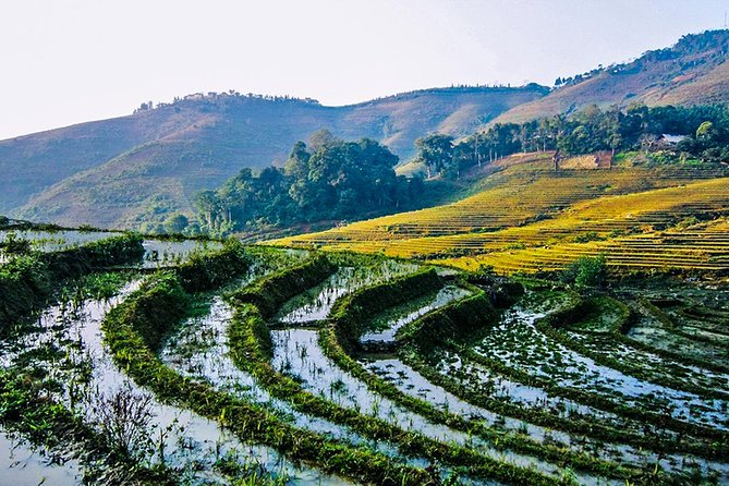 Trekking Through Rice Terraced Fields - 1Day - Lunch, drinks, and the real value of $45