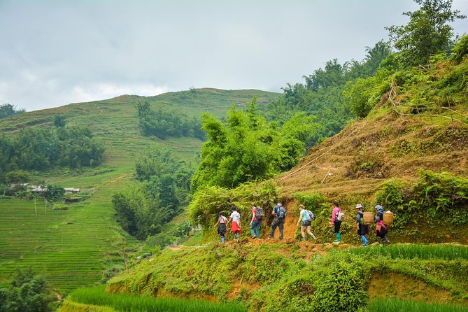 Trekking Through Rice Terraced Fields - 1Day - Starting from Sapa at 9 or 9:30