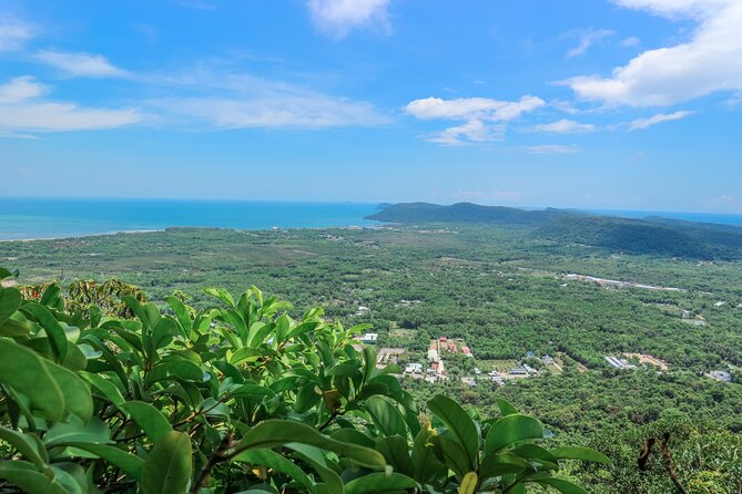Trekking Tien Son Dinh Phu Quoc - Plant stories, animals, and the mountain’s name