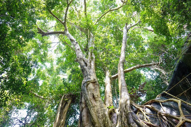 Trekking Tien Son Dinh Phu Quoc - How difficult is the hike?