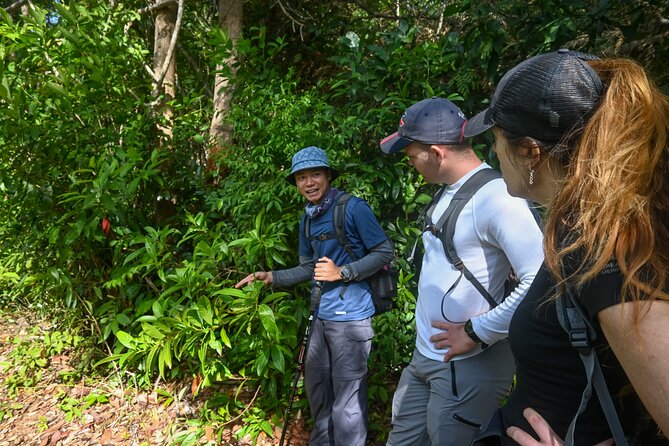 Trekking Tien Son Dinh Phu Quoc - Climbing through the Tien Son Dinh jungle