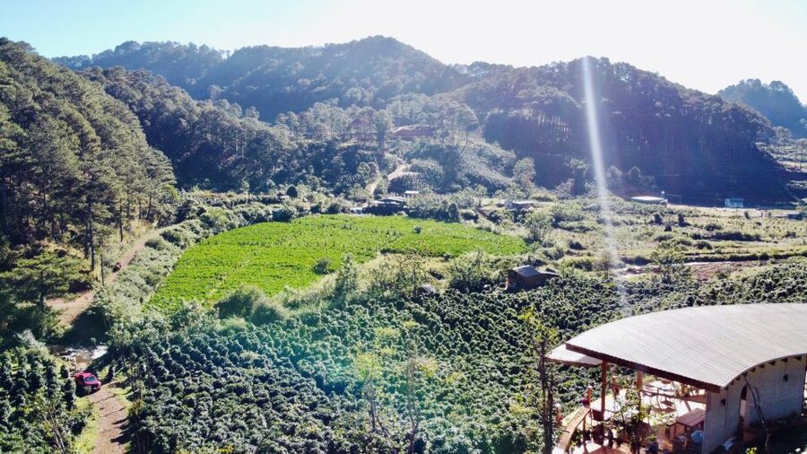 Trekking to Hidden Waterfall & Sturgeon Farm for dog-lovers - Finding Twin Beans Farm from Da Lat