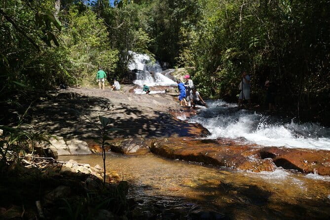 Trekking Tour to Hidden Waterfall & Sturgeon Farm for dog-lovers - Seven dogs and a forest path