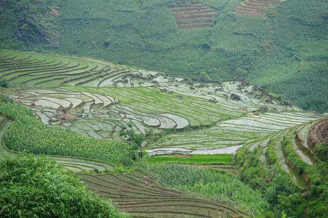 Ultimate Sapa Motorbike Tour: Villages & Waterfalls - The Ride Begins With Cat Cat Village