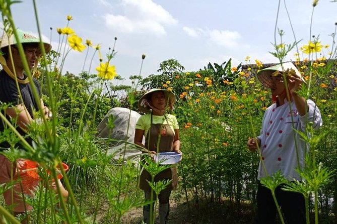 Unique farm to Table cooking class in Saigon - Who will enjoy this class most