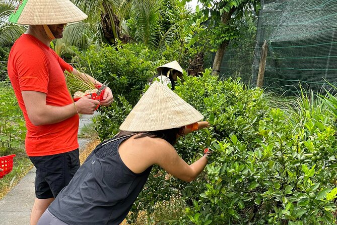 Unique Farm to Table Cooking Class with Top Chef in Vietnam - What $67 gets you for a full day