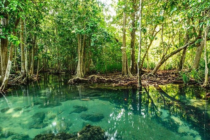 Vam Sat Mangrove Forest - VIP Private Tour - Monkeys, crocodiles, and the liveliest moments