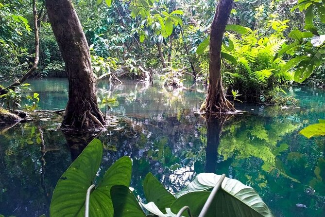 Vam Sat Mangrove Forest - VIP Private Tour - Guides who add real value