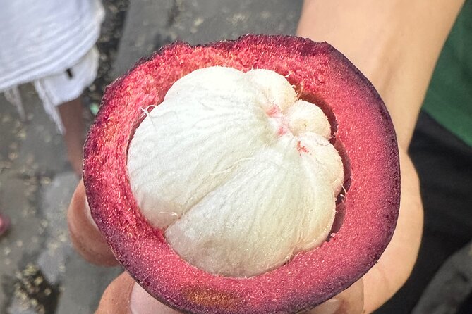 Vegan Food Tour - Untold Stories of Hoi An - The guides make the difference