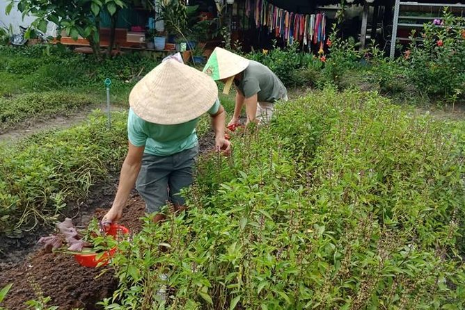 Vietnamese Cooking Class and Cu Chi Tunnels Tour from Ho Chi Minh City - Lunch is the payoff